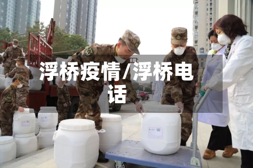 浮桥疫情/浮桥电话