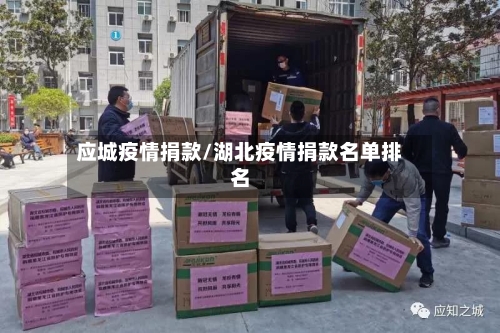 应城疫情捐款/湖北疫情捐款名单排名