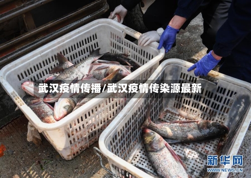 武汉疫情传播/武汉疫情传染源最新