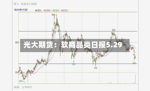 光大期货：软商品类日报5.29-第2张图片