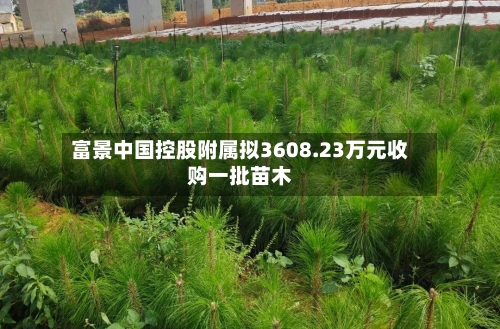 富景中国控股附属拟3608.23万元收购一批苗木-第2张图片