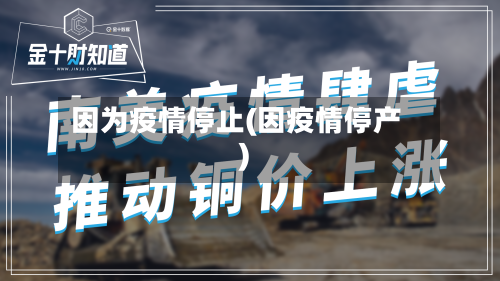 因为疫情停止(因疫情停产)