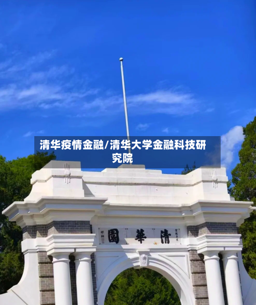 清华疫情金融/清华大学金融科技研究院