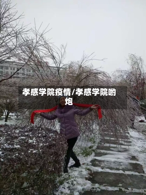 孝感学院疫情/孝感学院哟炮