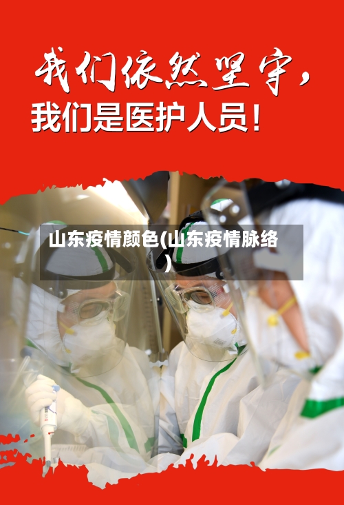 山东疫情颜色(山东疫情脉络)-第2张图片