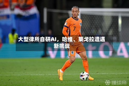 大型律所自研AI，哈维	、莱戈拉遭遇新挑战-第2张图片