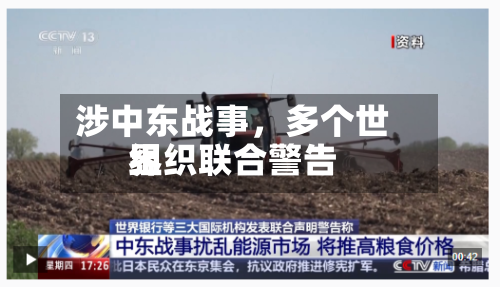涉中东战事，多个世界组织联合警告-第2张图片