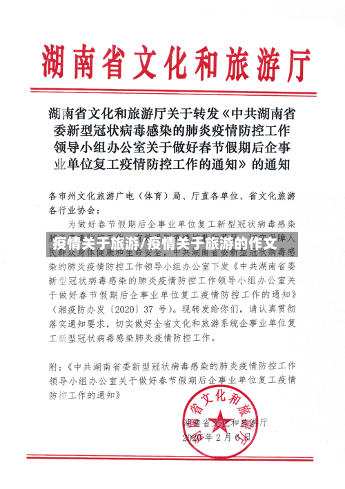 疫情关于旅游/疫情关于旅游的作文-第2张图片