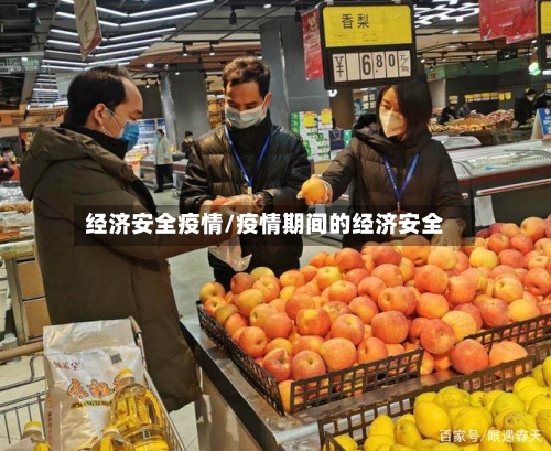 经济安全疫情/疫情期间的经济安全