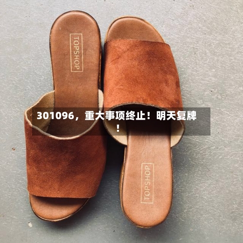 301096，重大事项终止！明天复牌！-第2张图片