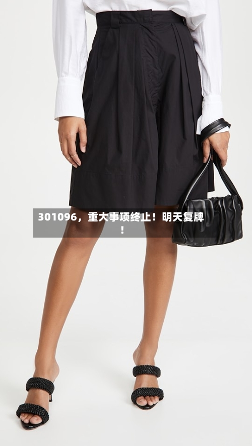 301096，重大事项终止！明天复牌！-第3张图片