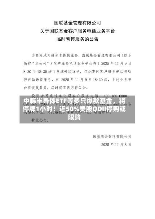 中韩半导体ETF等多只爆款基金，将停牌1小时！近50%美股QDII停购或限购-第2张图片