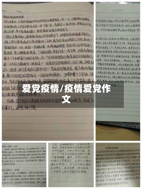 爱党疫情/疫情爱党作文-第2张图片