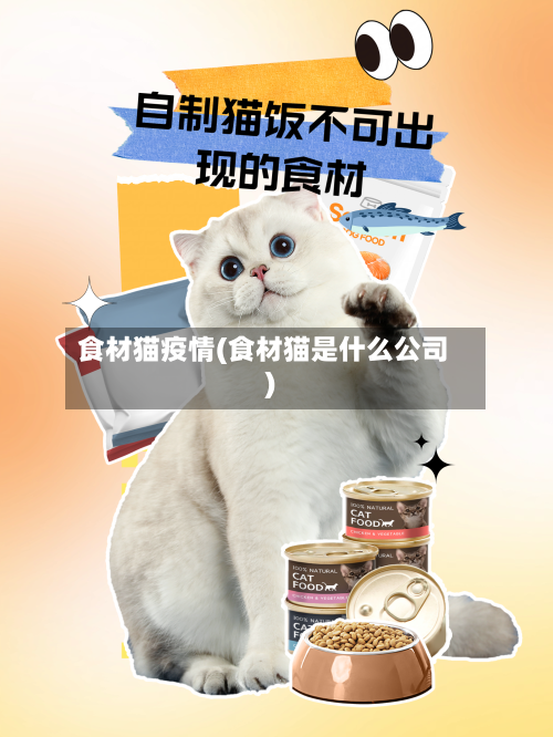 食材猫疫情(食材猫是什么公司)