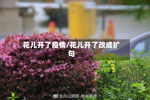 花儿开了疫情/花儿开了改成扩句