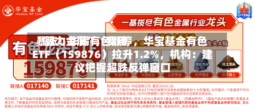 “算力金属	”，费用暴涨！华锡有色涨停	，华宝基金有色ETF（159876）拉升1.2%，机构：建议把握超跌反弹窗口-第2张图片