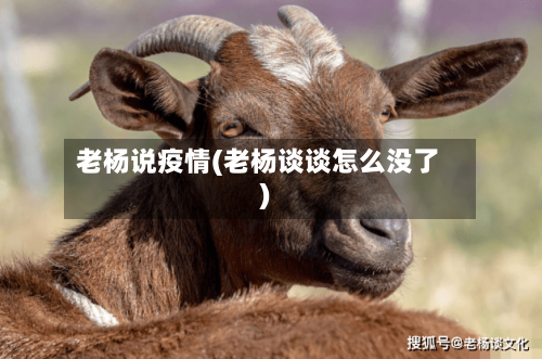 老杨说疫情(老杨谈谈怎么没了)