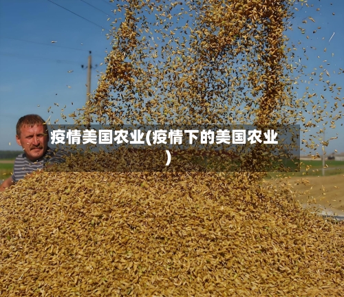 疫情美国农业(疫情下的美国农业)-第2张图片