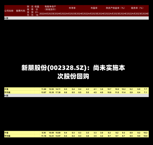 新朋股份(002328.SZ)：尚未实施本次股份回购