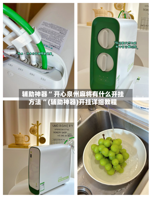 辅助神器“ 开心泉州麻将有什么开挂方法 ”(辅助神器)开挂详细教程-第2张图片