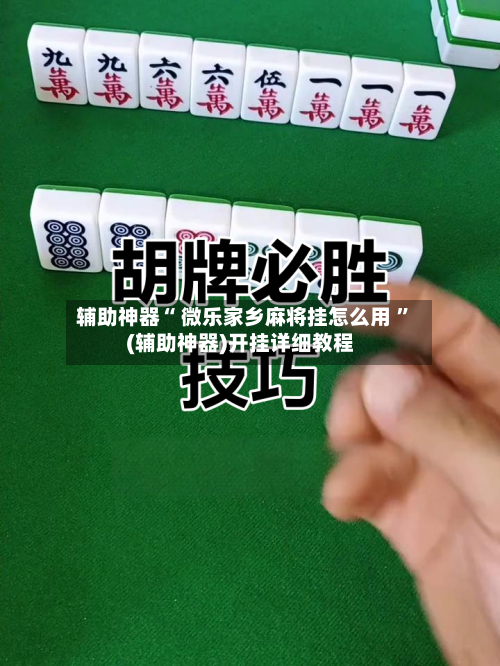 辅助神器“ 微乐家乡麻将挂怎么用 ”(辅助神器)开挂详细教程-第3张图片
