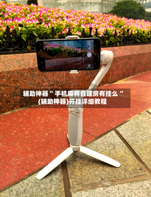 辅助神器“ 手机麻将自建房有挂么 ”(辅助神器)开挂详细教程