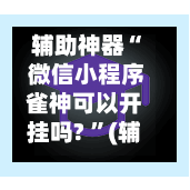 辅助神器“ 微信小程序雀神可以开挂吗? 	”(辅助神器)开挂详细教程-第3张图片