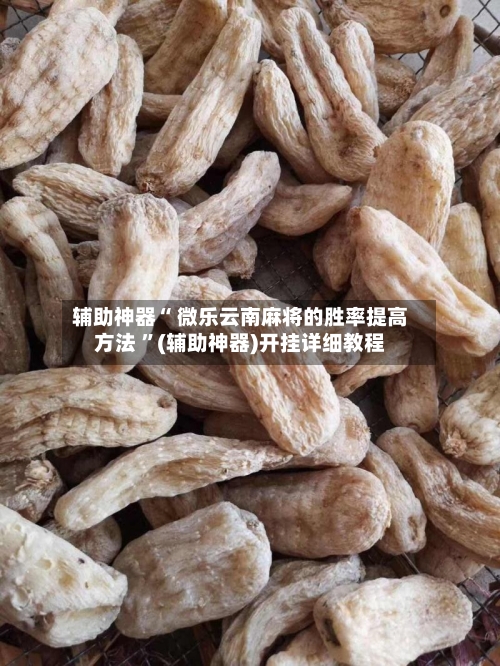 辅助神器“ 微乐云南麻将的胜率提高方法 ”(辅助神器)开挂详细教程