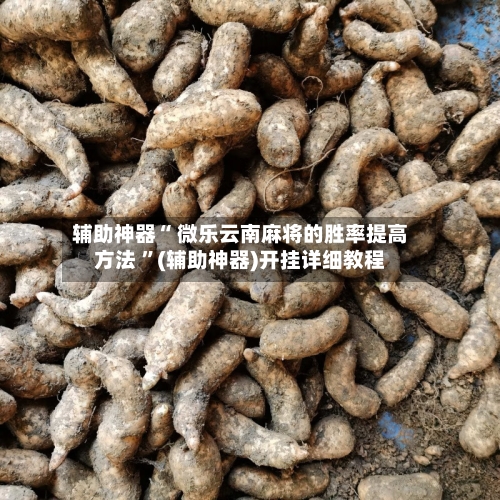 辅助神器“ 微乐云南麻将的胜率提高方法 	”(辅助神器)开挂详细教程-第2张图片