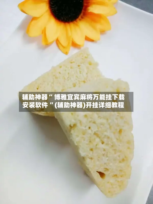 辅助神器“ 博雅宜宾麻将万能挂下载安装软件 ”(辅助神器)开挂详细教程