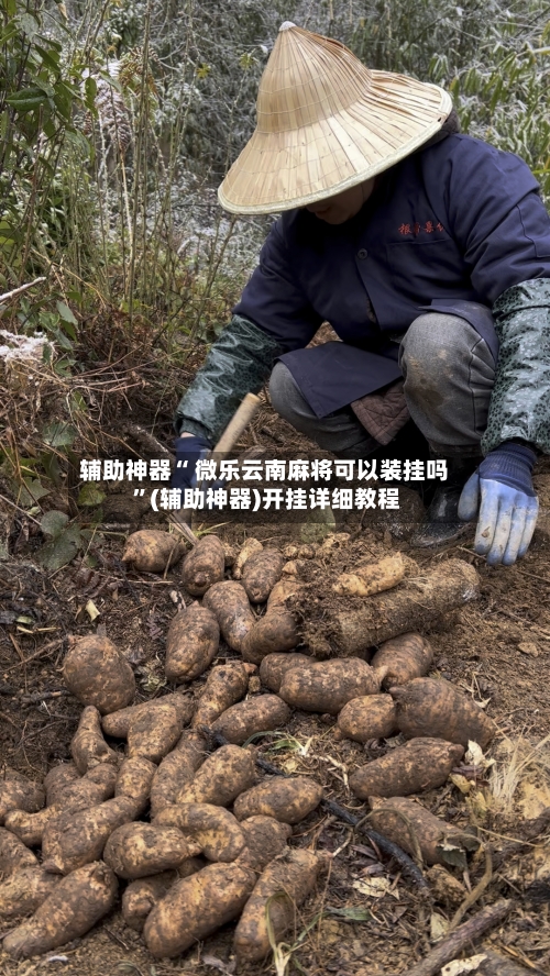 辅助神器“ 微乐云南麻将可以装挂吗 ”(辅助神器)开挂详细教程