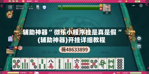 辅助神器“ 微乐小程序挂是真是假 ”(辅助神器)开挂详细教程-第3张图片