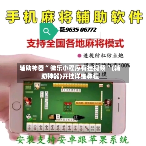 辅助神器“ 微乐小程序有挂视频 ”(辅助神器)开挂详细教程-第3张图片