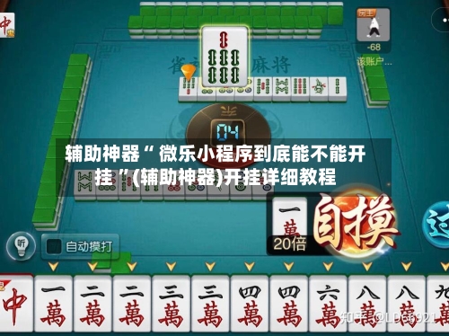 辅助神器“ 微乐小程序到底能不能开挂 ”(辅助神器)开挂详细教程-第3张图片