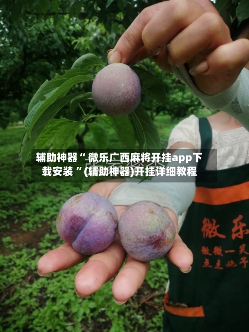 辅助神器“ 微乐广西麻将开挂app下载安装 	”(辅助神器)开挂详细教程-第2张图片