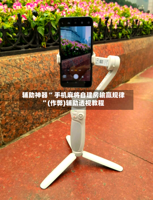 辅助神器“ 手机麻将自建房输赢规律”(作弊)辅助透视教程