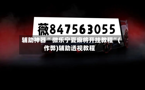 辅助神器“ 微乐宁夏麻将开挂教程”(作弊)辅助透视教程