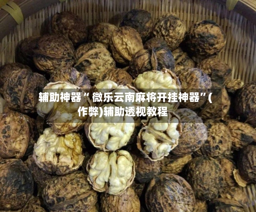 辅助神器“ 微乐云南麻将开挂神器”(作弊)辅助透视教程
