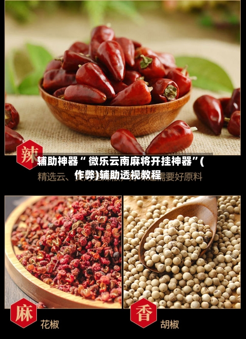 辅助神器“ 微乐云南麻将开挂神器”(作弊)辅助透视教程-第2张图片