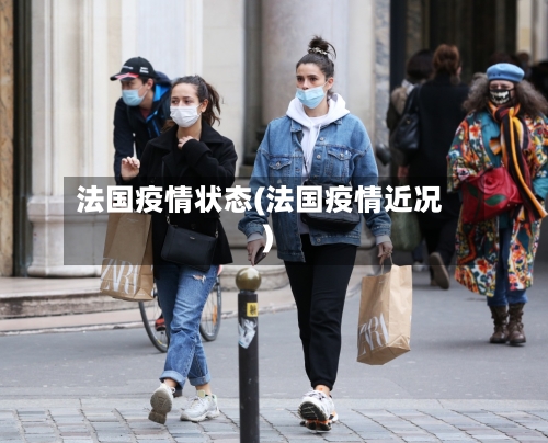 法国疫情状态(法国疫情近况)