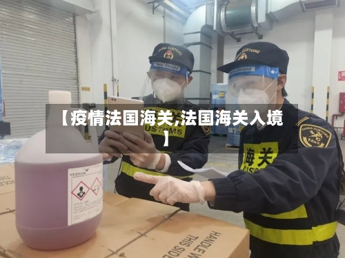 【疫情法国海关,法国海关入境】-第2张图片