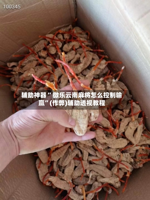 辅助神器“ 微乐云南麻将怎么控制输赢”(作弊)辅助透视教程
