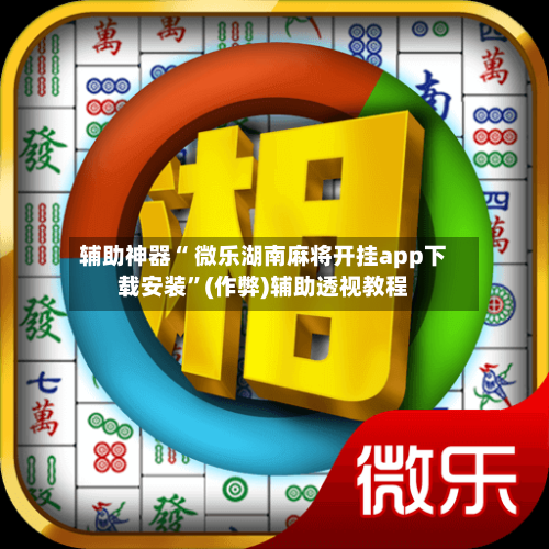 辅助神器“ 微乐湖南麻将开挂app下载安装”(作弊)辅助透视教程-第2张图片