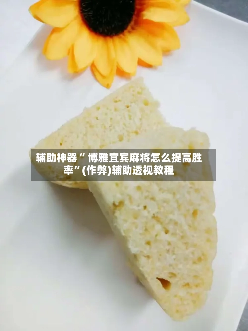 辅助神器“ 博雅宜宾麻将怎么提高胜率”(作弊)辅助透视教程