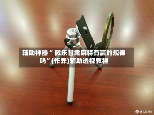 辅助神器“ 微乐甘肃麻将有赢的规律吗”(作弊)辅助透视教程