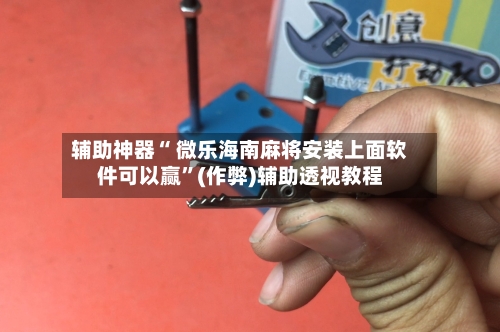 辅助神器“ 微乐海南麻将安装上面软件可以赢”(作弊)辅助透视教程-第3张图片