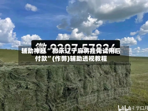 辅助神器“ 微乐辽宁麻将挂先试用后付款”(作弊)辅助透视教程-第2张图片