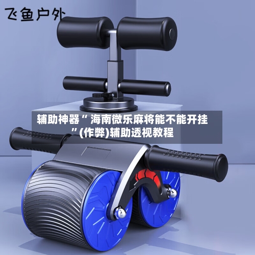 辅助神器“ 海南微乐麻将能不能开挂”(作弊)辅助透视教程