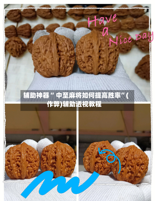 辅助神器“ 中至麻将如何提高胜率”(作弊)辅助透视教程-第2张图片