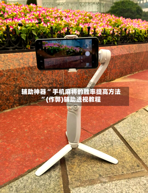 辅助神器“ 手机麻将的胜率提高方法”(作弊)辅助透视教程